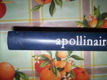 Apollinaire-SCRIERI ALESE foto