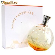 Hermes Eau Des Merveilles 100 ml EDT pentru femei foto