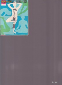 Breviar Practic Hatha Yoga - Ion Vulcanescu foto
