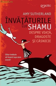 Invataturile lui Shamu despre viata, dragoste si casnicie - 115991 foto