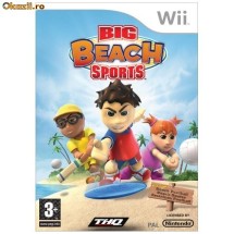 Big Beach Sports Wii foto