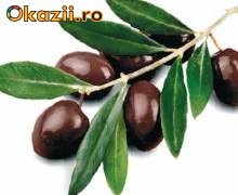 masline vrac kalamata foto mare