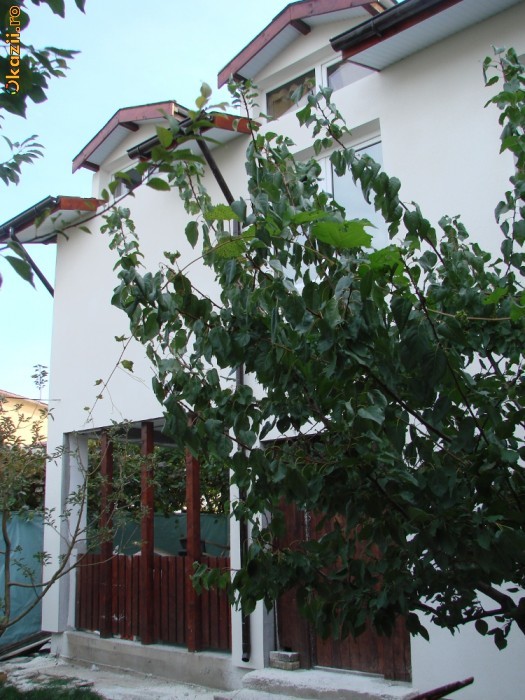 casa p+m,2010,bucuresti,23august,112m su,207m curte,72,6m a foto mare