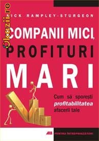 COMPANII MICI, PROFITURI MARI - 120259 foto mare